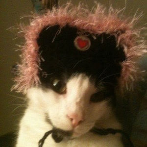 Meet your Posher, Alenka